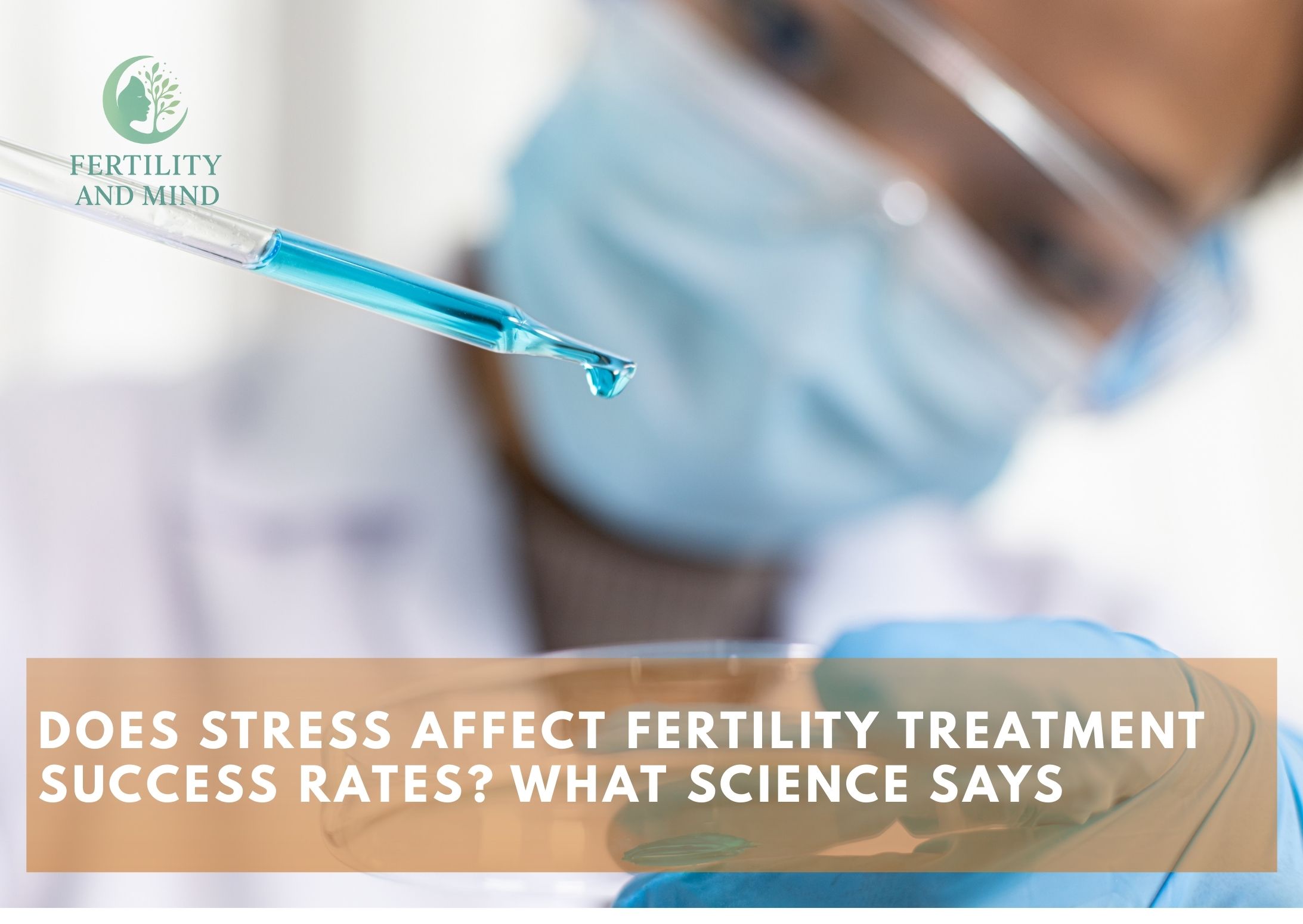 Does Stress Affect Fertility Treatment Success Rates What Science Says